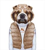 Puppy in a down Vest