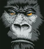 Wild Gorilla Orange Eyes