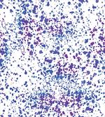 Paint Splatters Art