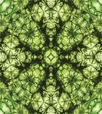 Abstract Retro Fashion