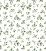 Watercolor Sprouts
