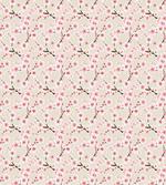 Flowering Cherry Blooms