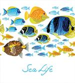 Cartoon Sea Life Theme