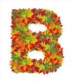 Second Letter Fall