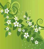 Graphic Curvy Leaves