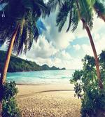 Summer Vintage Tropical