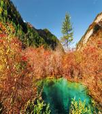 Idyllic Autumn Season
