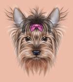 Realistic Animal