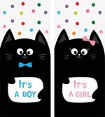 It's a Boy Baby Kitty