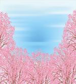 Pinkish Blossom Trees