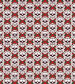 Flower Rose Frame Skull
