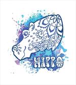 Bohemian Hippie Print