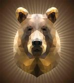 Geometric Grizzly Portrait
