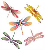 Art Bugs Modern