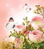 Blossoming Feminine Roses