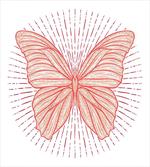 Butterfly Doodle Sunburst