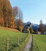 Walkway to Castle Autumn