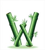 Bamboo Branches