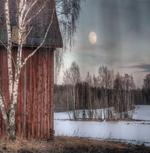 House Trees Winter Season