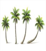 Different Sized Tropical Trees artwork