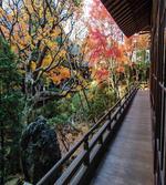 Wooden Balcony View