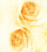 Watercolor Rose Flower