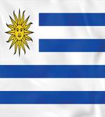 Simple Stripes and Sun Flag