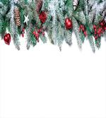 Stars Berries Xmas