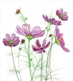 Spring Foliage artwork