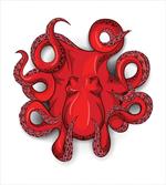 Octopus Animal Marine
