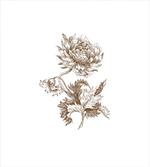 Vintage Petals Leaves