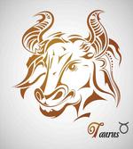 Bull Face