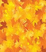 Graphic Pile of Dried Leaves
