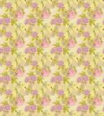 Tender Spring Blossoms