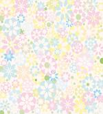Blooming Flowers Spring