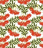Vibrant Red Rural Berries
