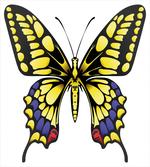 Big Machaon