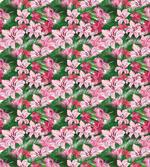Hawaiian Spring Blossoms