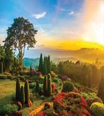 Colorful Idyllic Nature artwork