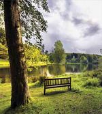 Stourhead Cloudy Scene