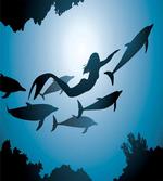 Mermaid and Dolphins