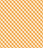 Gingham Checks