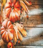 Harvest Ingredients artwork