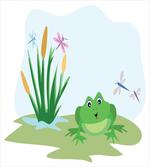 Dragonflies Plants Amphibian