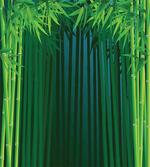 Green Leafy Branches