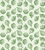 Green and Fresh Food