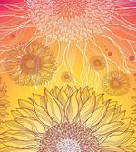 Sunflower Plants