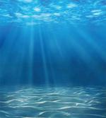 Underwater Wilderness