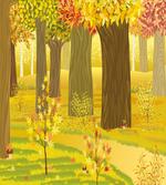 Fantasy Dreamlike Forest