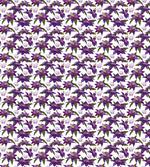 Clematis Blossoms Look